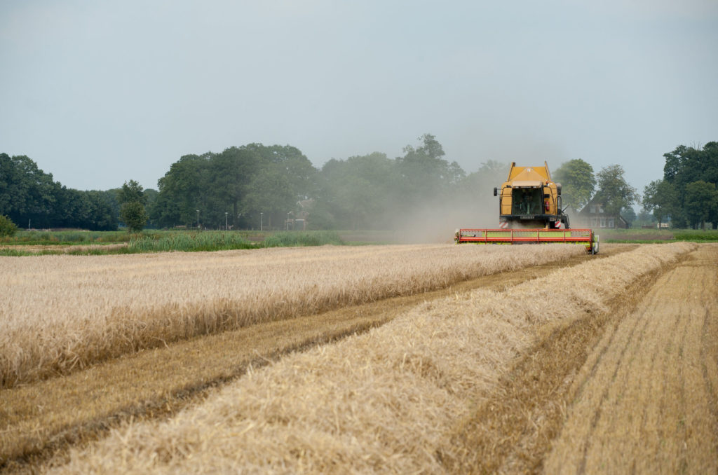 Mähdrescher im Einsatz auf dem Feld